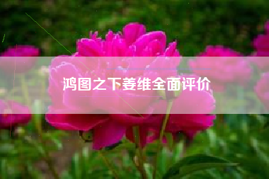 鸿图之下姜维全面评价