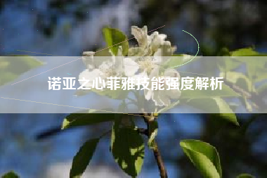 诺亚之心菲雅技能强度解析