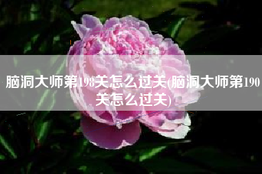 脑洞大师第198关怎么过关(脑洞大师第190关怎么过关)