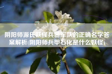 阴阳师源氏妖怪兵器军队的正确名字答案解析(阴阳师兵甲石化是什么妖怪)