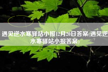 遇见逆水寒驿站小报12月20日答案(遇见逆水寒驿站小报答案)