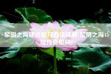 黎明之海建造船只方法详解(黎明之海45级传奇船只)