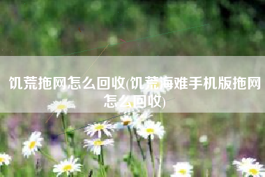 饥荒拖网怎么回收(饥荒海难手机版拖网怎么回收)