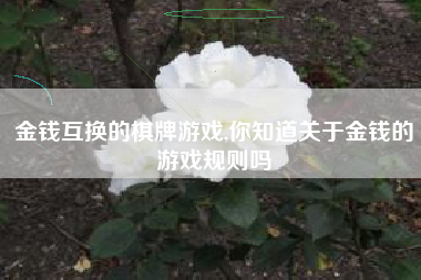 金钱互换的棋牌游戏,你知道关于金钱的游戏规则吗