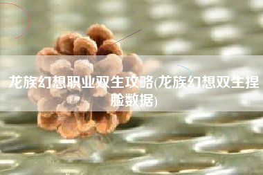 龙族幻想职业双生攻略(龙族幻想双生捏脸数据)