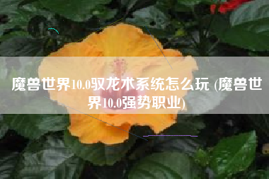 魔兽世界10.0驭龙术系统怎么玩 (魔兽世界10.0强势职业)