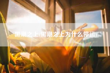 黑潮之上(黑潮之上为什么停运)