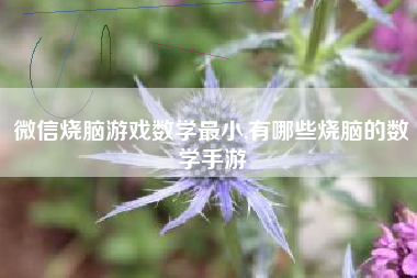 微信烧脑游戏数学最小,有哪些烧脑的数学手游