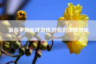 最新手游足球游戏,好玩的足球游戏