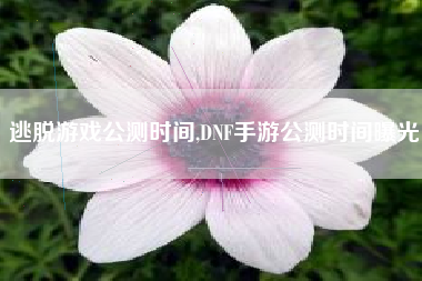 逃脱游戏公测时间,DNF手游公测时间曝光