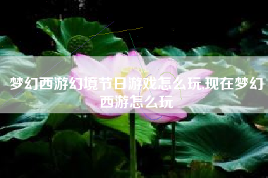 梦幻西游幻境节日游戏怎么玩,现在梦幻西游怎么玩