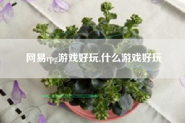 网易rpg游戏好玩,什么游戏好玩