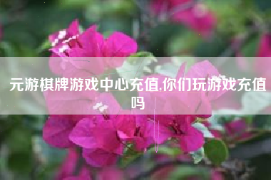 元游棋牌游戏中心充值,你们玩游戏充值吗
