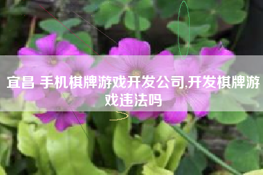 宜昌 手机棋牌游戏开发公司,开发棋牌游戏违法吗