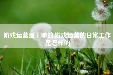 游戏运营是干嘛的,游戏运营的日常工作是怎样的