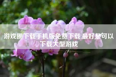 游戏圈下载手机版免费下载,最好是可以下载大型游戏