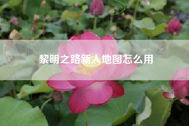 黎明之路新人地图怎么用