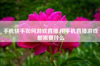 手机快手如何游戏直播,用手机直播游戏都需要什么