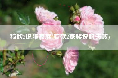 骑砍2说服家族(骑砍2家族说服失败)