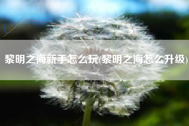 黎明之海新手怎么玩(黎明之海怎么升级)