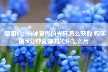 黎明前20分钟夏娜的光环怎么获取(黎明前20分钟夏娜的光环怎么用)