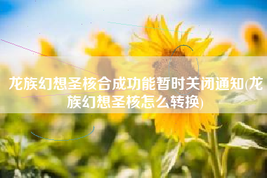 龙族幻想圣核合成功能暂时关闭通知(龙族幻想圣核怎么转换)