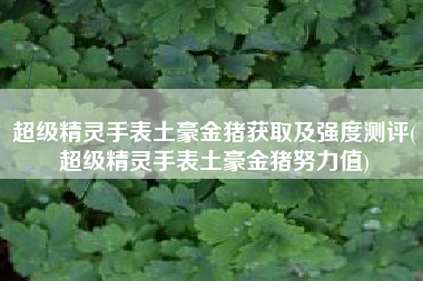 超级精灵手表土豪金猪获取及强度测评(超级精灵手表土豪金猪努力值)