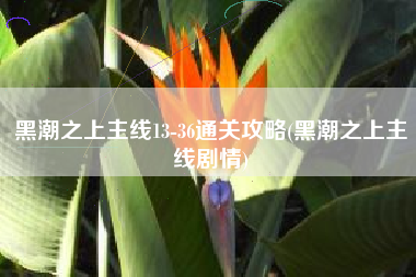黑潮之上主线13-36通关攻略(黑潮之上主线剧情)