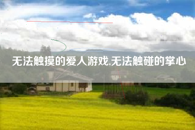 无法触摸的爱人游戏,无法触碰的掌心