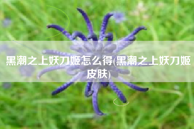 黑潮之上妖刀姬怎么得(黑潮之上妖刀姬皮肤)