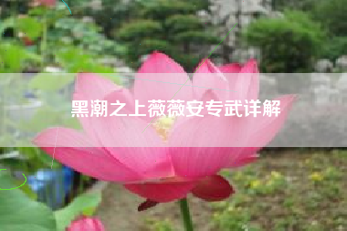 黑潮之上薇薇安专武详解