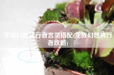 龙族幻想执行者言灵搭配(龙族幻想执行者攻略)