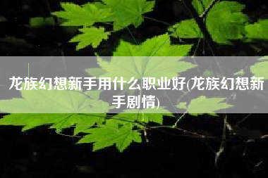 龙族幻想新手用什么职业好(龙族幻想新手剧情)