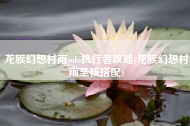 龙族幻想村雨solo执行者攻略(龙族幻想村雨圣核搭配)