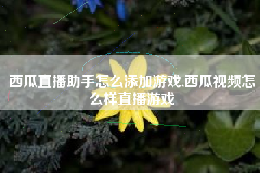 西瓜直播助手怎么添加游戏,西瓜视频怎么样直播游戏