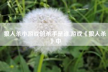 狼人杀小游戏的杀手是谁,游戏《狼人杀》中