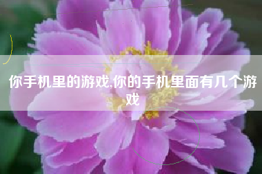 你手机里的游戏,你的手机里面有几个游戏