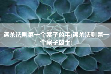 谋杀法则第一个案子凶手(谋杀法则第一个案子凶手)