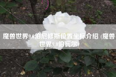 魔兽世界9.0伯尼修斯位置坐标介绍 (魔兽世界9.0伯瓦尔)
