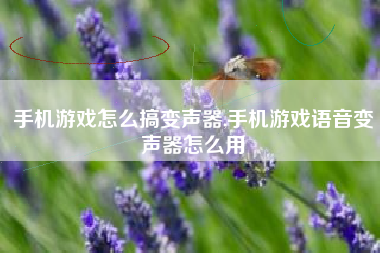 手机游戏怎么搞变声器,手机游戏语音变声器怎么用