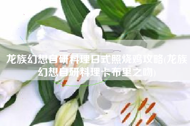 龙族幻想自研料理日式照烧鸡攻略(龙族幻想自研料理卡布里之吻)