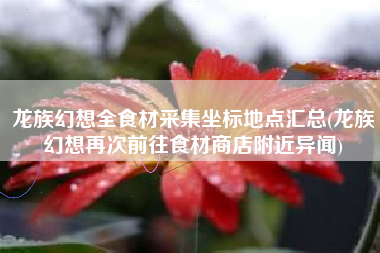 龙族幻想全食材采集坐标地点汇总(龙族幻想再次前往食材商店附近异闻)