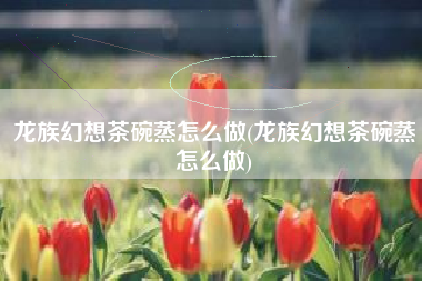 龙族幻想茶碗蒸怎么做(龙族幻想茶碗蒸怎么做)