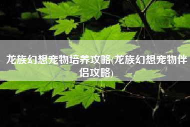 龙族幻想宠物培养攻略(龙族幻想宠物伴侣攻略)