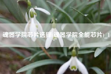 魂器学院芯片选择(魂器学院全能芯片)_1