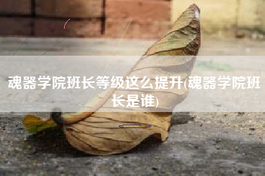 魂器学院班长等级这么提升(魂器学院班长是谁)