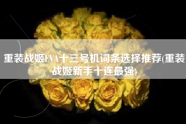 重装战姬EVA十三号机词条选择推荐(重装战姬新手十连最强)