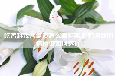 吃鸡游戏八倍镜怎么调距离,吃鸡游戏的倍镜该如何选择