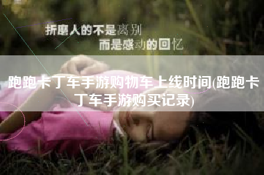 跑跑卡丁车手游购物车上线时间(跑跑卡丁车手游购买记录)