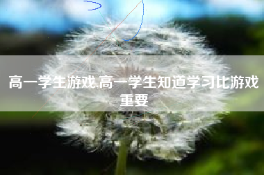 高一学生游戏,高一学生知道学习比游戏重要